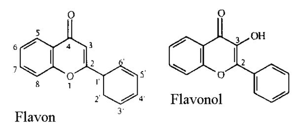 Flavon