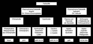 Pflanzenfarbstoffe