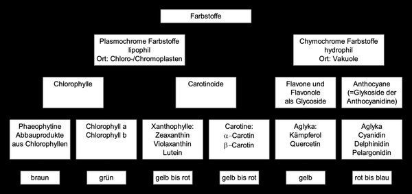 Pflanzenfarbstoffe
