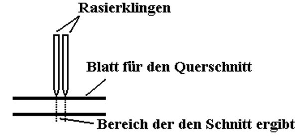 Schema für die von uns entwickelte
Schnittechnik mit zwei Rasierklingen.